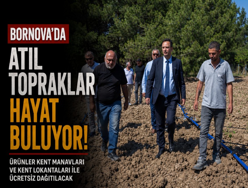 Bornova’da atıl topraklar hayat buluyor: Ürünler ücretsiz dağıtılacak