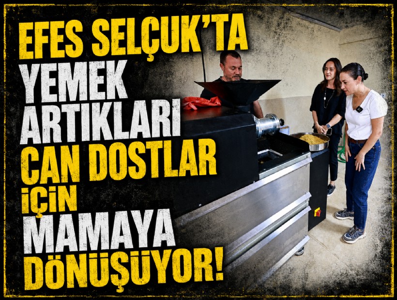 Efes Selçuk’ta yemek artıkları can dostlar için mamaya dönüşüyor