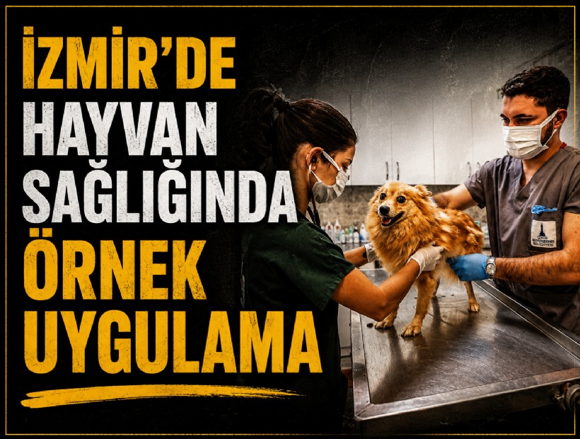 İzmir’de hayvan sağlığında örnek uygulama