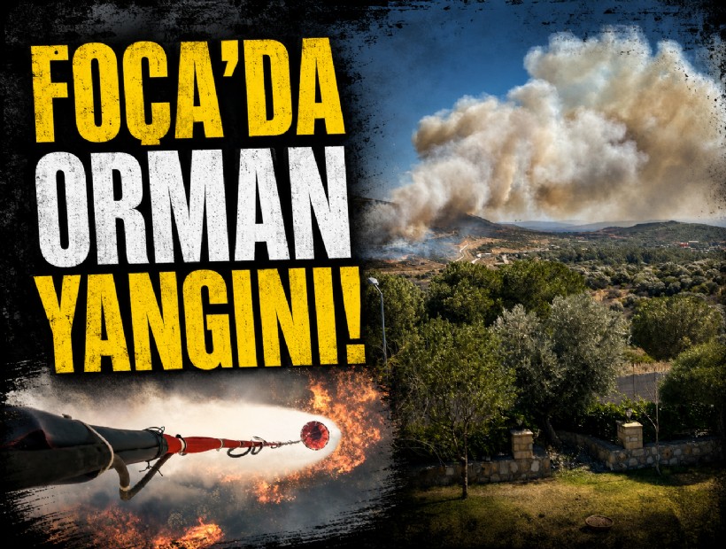 Foça'da orman yangını: Havadan karadan müdahale sürüyor