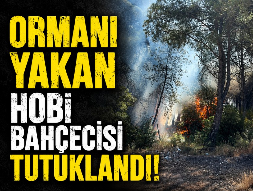 İzmir'deki orman yangınına tutuklama
