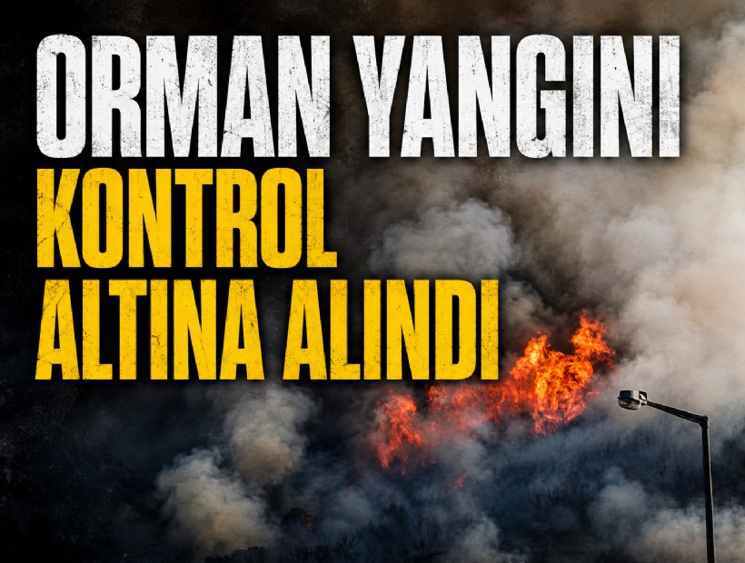 İzmir’de orman yangını