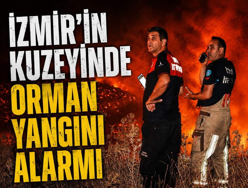 İzmir’in kuzeyinde orman yangını alarmı
