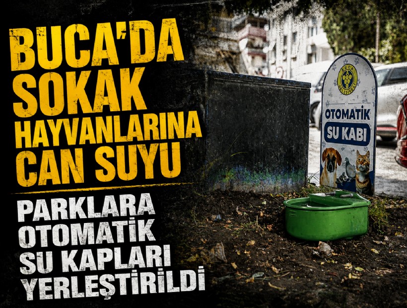 Buca'da sokak hayvanlarına can suyu: Parklara otomatik su kapları yerleştirildi