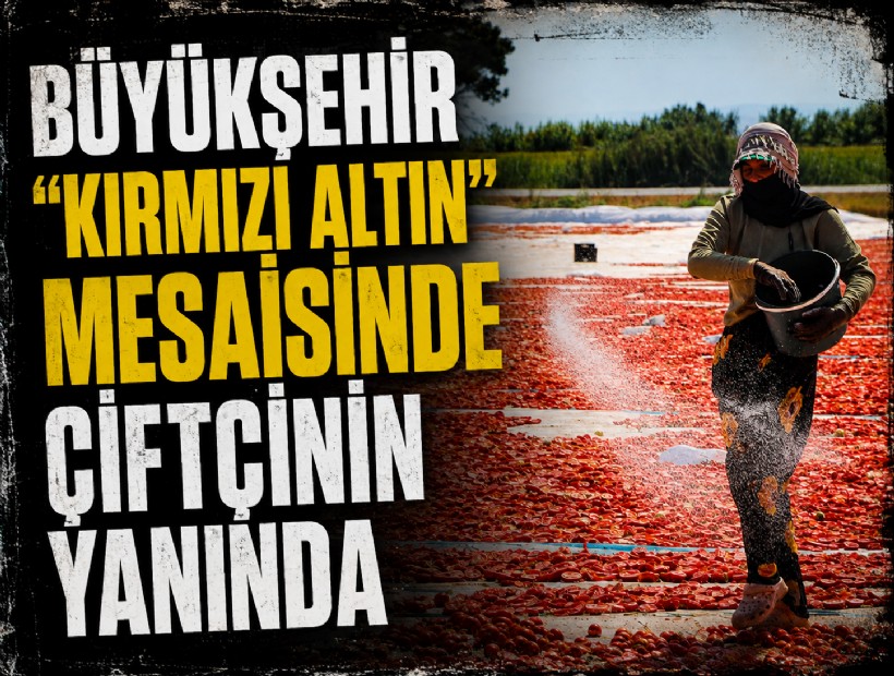 Büyükşehir’den sahada 'Kırmızı Altın' mesaisi