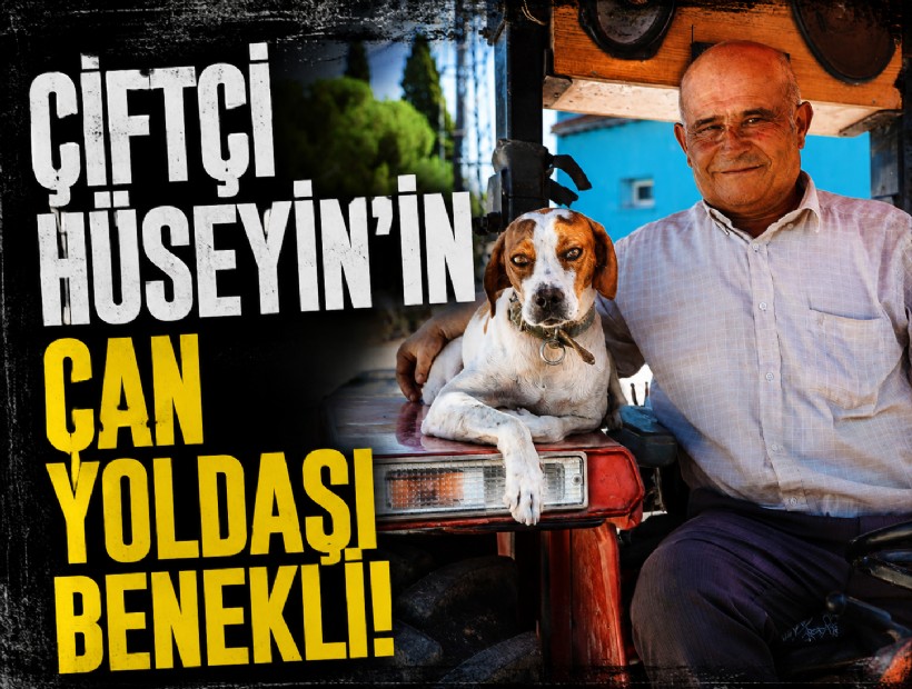 Çiftçi Hüseyin'in can yoldaşı Benekli!