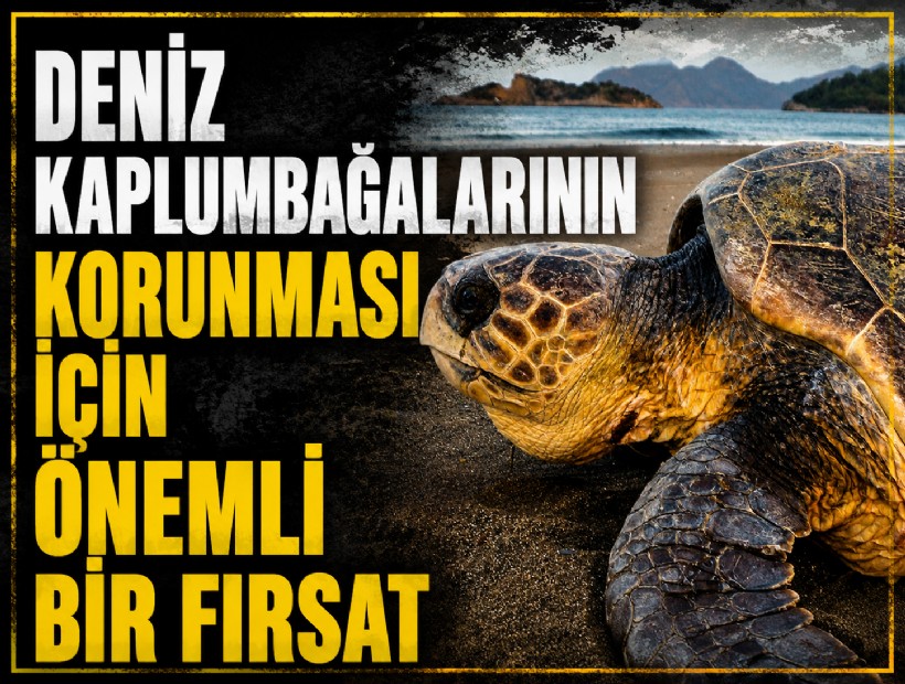 ‘Fethiye-Kaş Deniz Milli Parkı, deniz kaplumbağalarının korunmasında önemli bir fırsat'