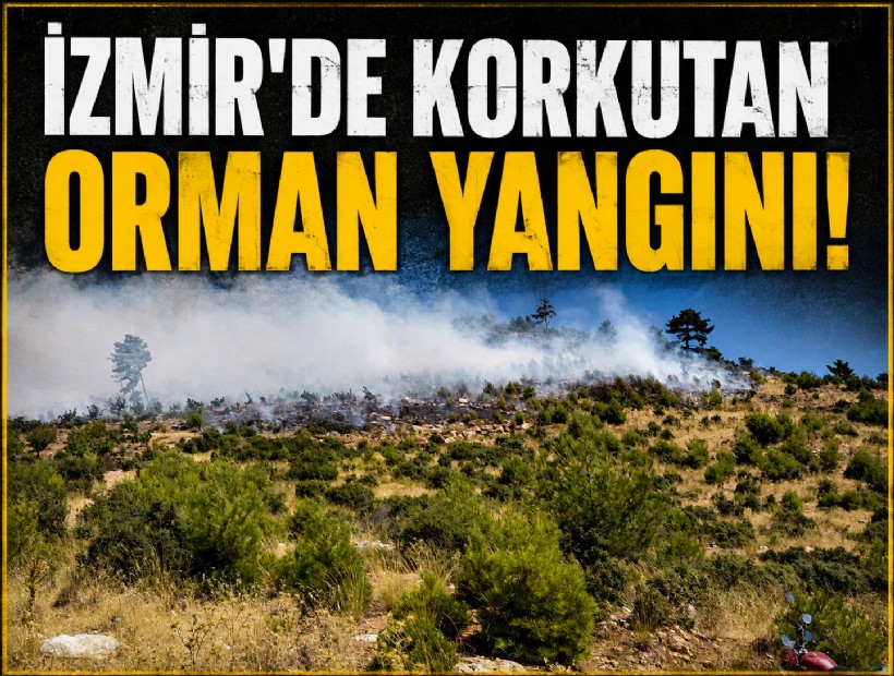İzmir Kiraz’daki orman yangını kontrol altına alındı