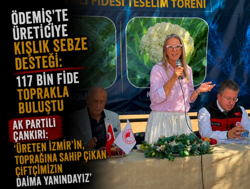 Ödemiş’te üreticiye kışlık sebze desteği: 117 bin fide toprakla buluştu