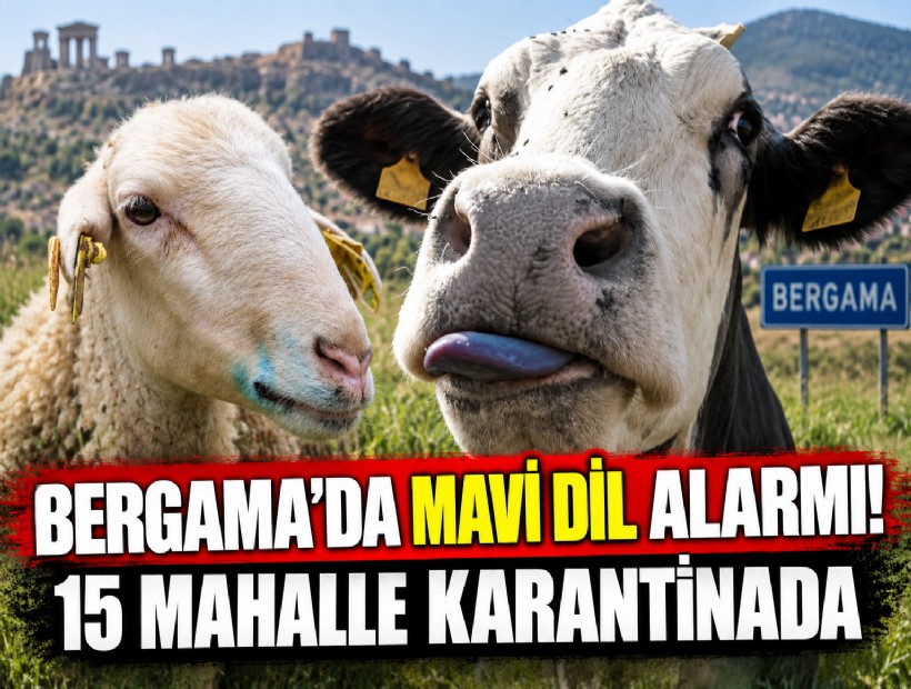 Bergama’da mavi dil alarmı! 15 mahalle karantinada