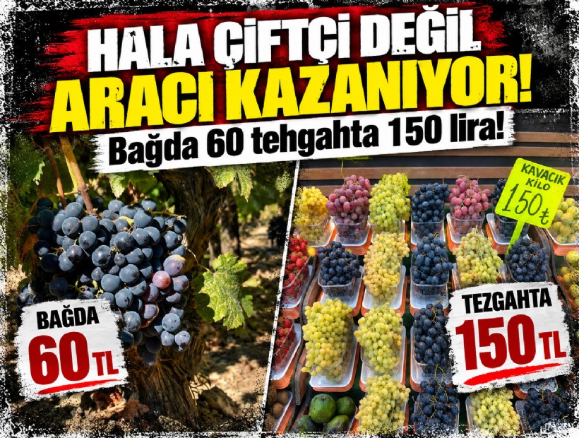 Çiftçi yine kazanamıyor: Kavacık üzümü bağda 60, markette 150-200 lira!