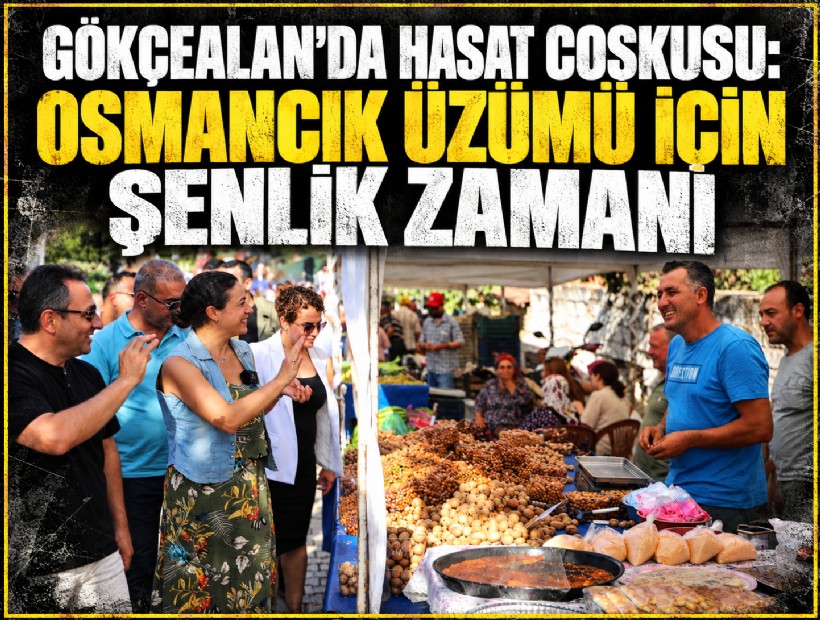 Gökçealan’da hasat coşkusu: Osmancık üzümü için şenlik zamanı