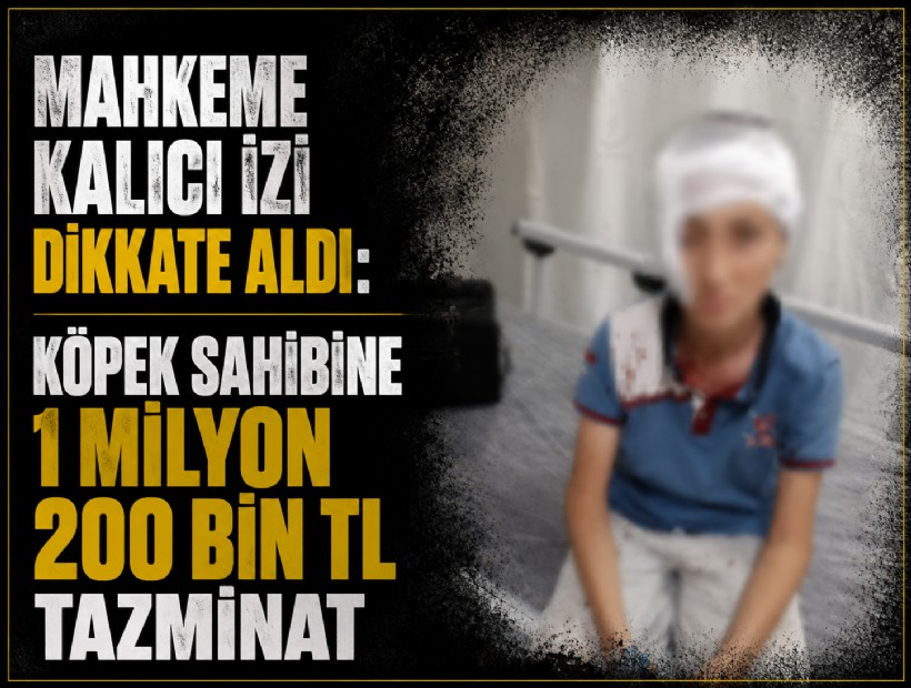 Mahkeme kalıcı izi dikkate aldı: Köpek sahibine 1 milyon 200 bin TL tazminat