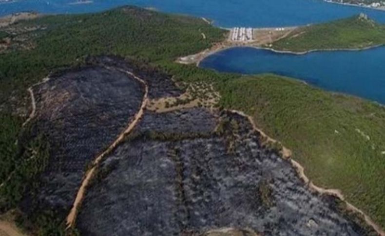 Eroğlu: Cennet Koyu'nda sabotaj ihtimali olabilir!