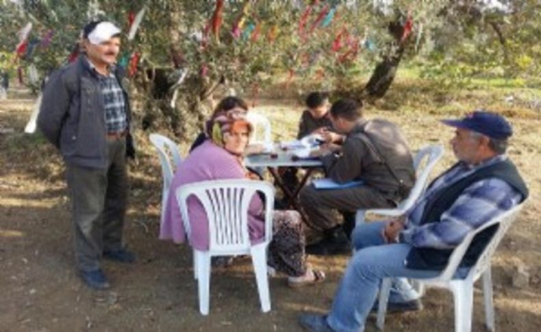 Zeytin savaşçısı Yırca'ya bir şok daha