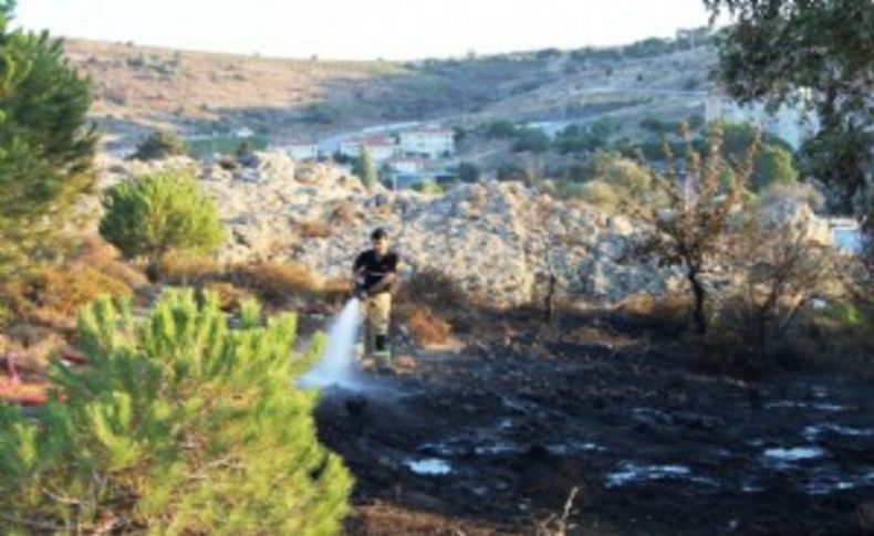 Foça'da çıkan yangın büyümeden söndürüldü