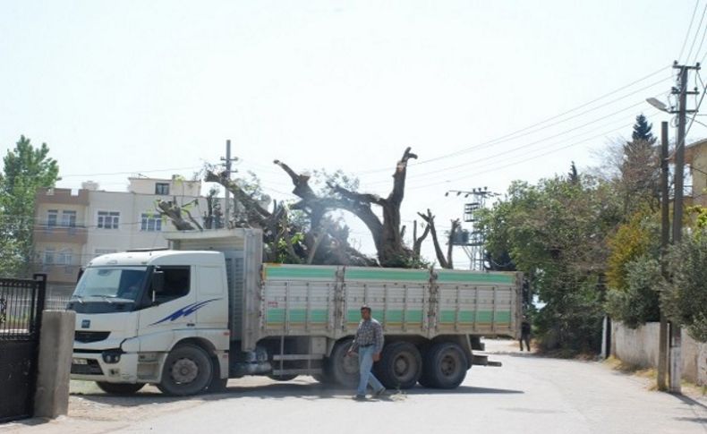 Kamyon mahalleyi elektriksiz bıraktı