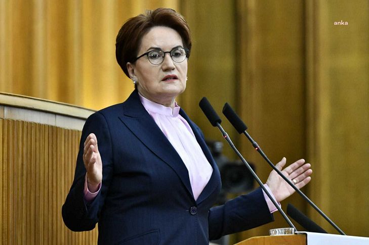 Akşener’den Erdoğan’a ‘iki ayyaş’ tepkisi