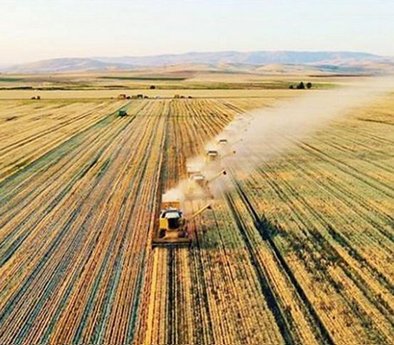 ‘Zeytinlik’ çıkışının ardından ŞPO’dan Soyer’e çağrı: O planları da iptal edin