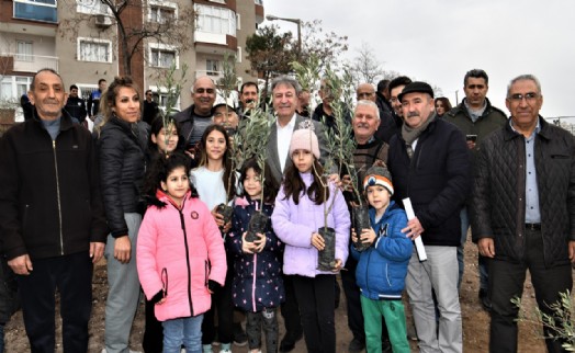 200’e yakın zeytin toprakla buluştu