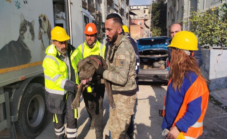 İzmir Büyükşehir Belediyesi depremden etkilenen hayvanları unutmadı