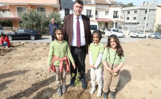 Menderes sakız ağaçlarıyla süslenecek