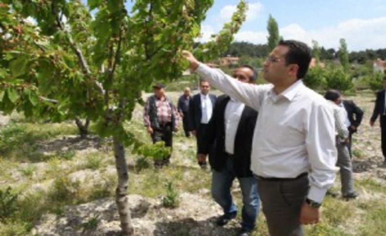 Bornova’nın yeni mahallelerinde turizm hamlesi