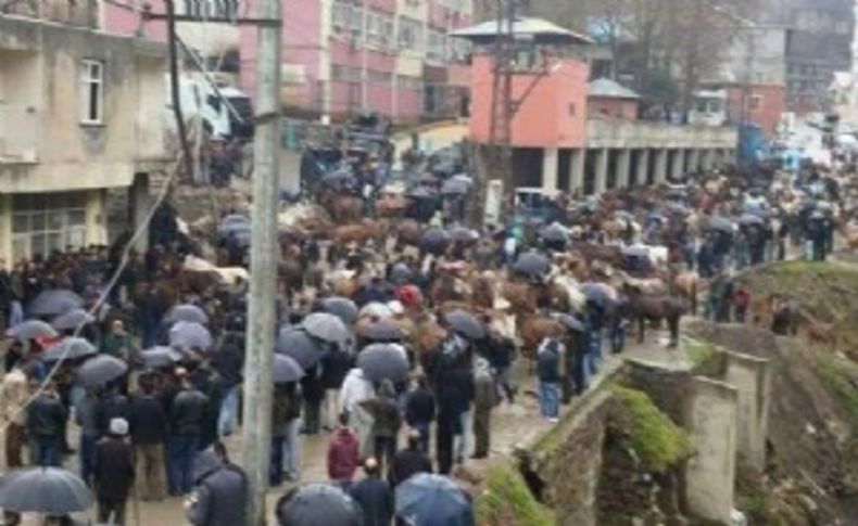 Uludere'de katırlı protestoya gazlı müdahale