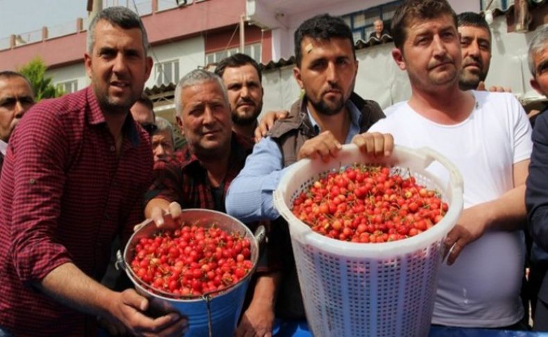 Kiraz fiyatları altınla yarışıyor