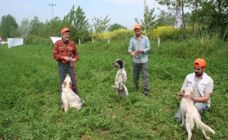 5. Fermalı Av Köpekleri Mera Yarışması Sakarya’da başladı