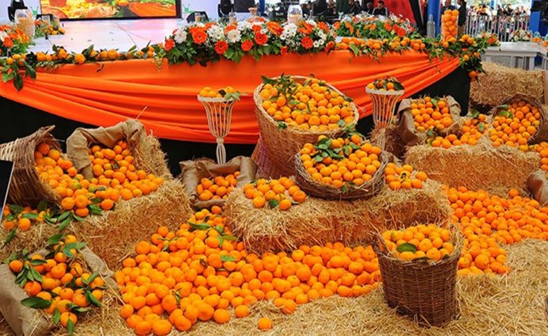 Seferihisar mandalina şenliğine hazır