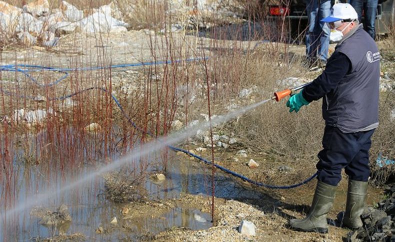 Selçuk'ta sivrisinekle mücadele kış aylarında da devam ediyor