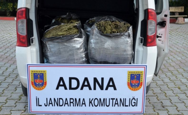 Adana'da 63 kilo esrar ele geçirildi