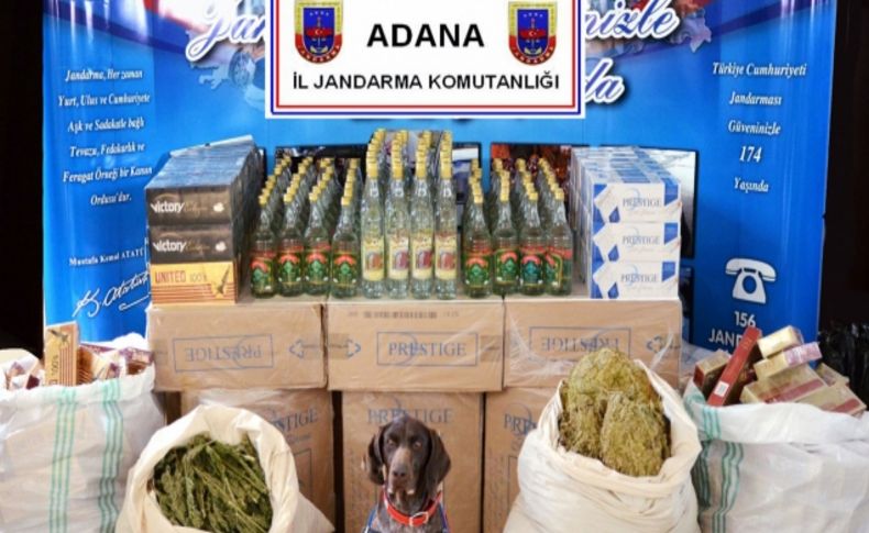 Adana'da jandarma kaçakçılara göz açtırmıyor