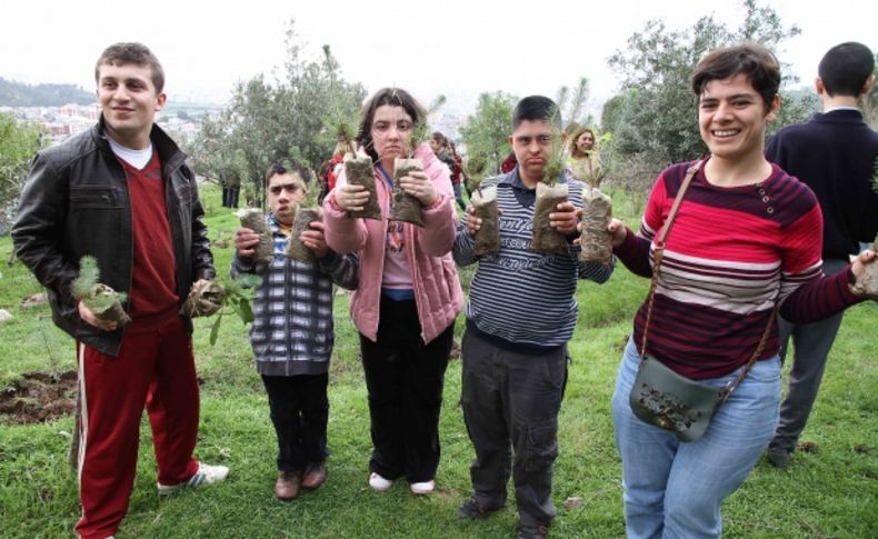 Ağaç sevgisi engel tanımadı