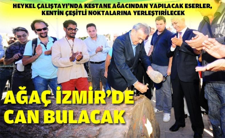 Ağaca İzmir'de can verecekler