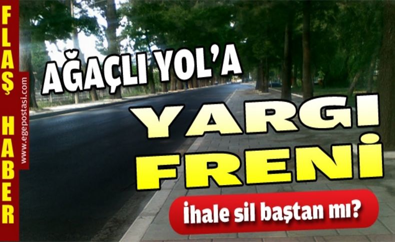 Ağaçlı yol'a yargı freni