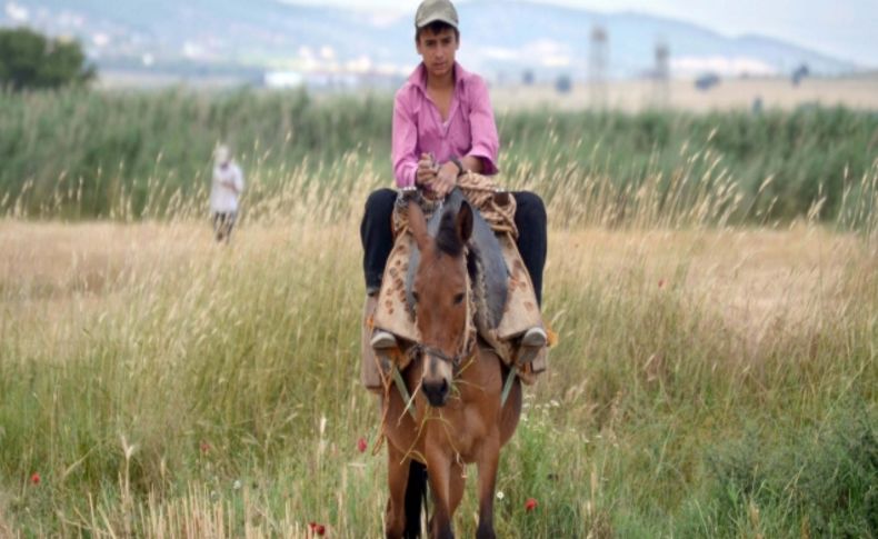 Akranları tatile o çobanlığa gitti