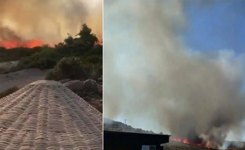 Alaçatı'da korkutan yangın! Olayı yaşayanlar dehşet anlarını anlattı