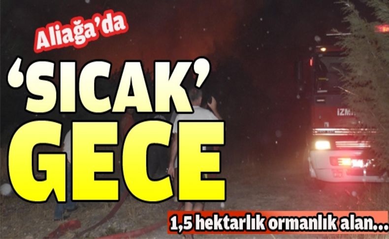 Aliağa'da sıcak gece