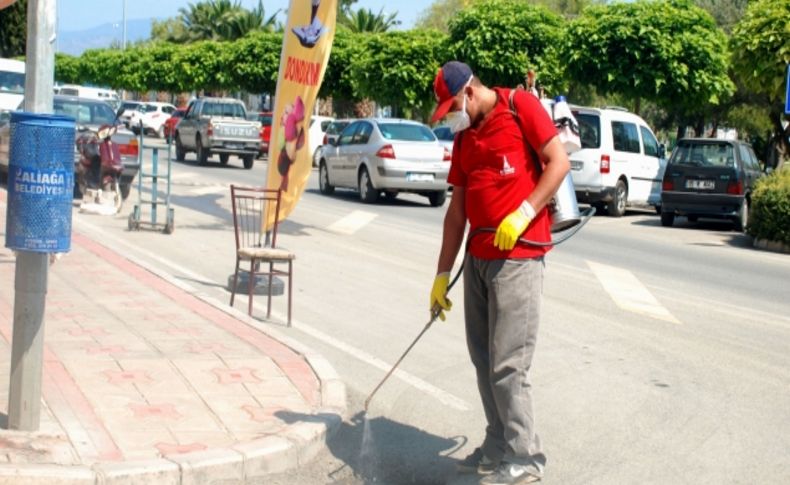 Aliağa'da sinek ve haşere ile mücadele