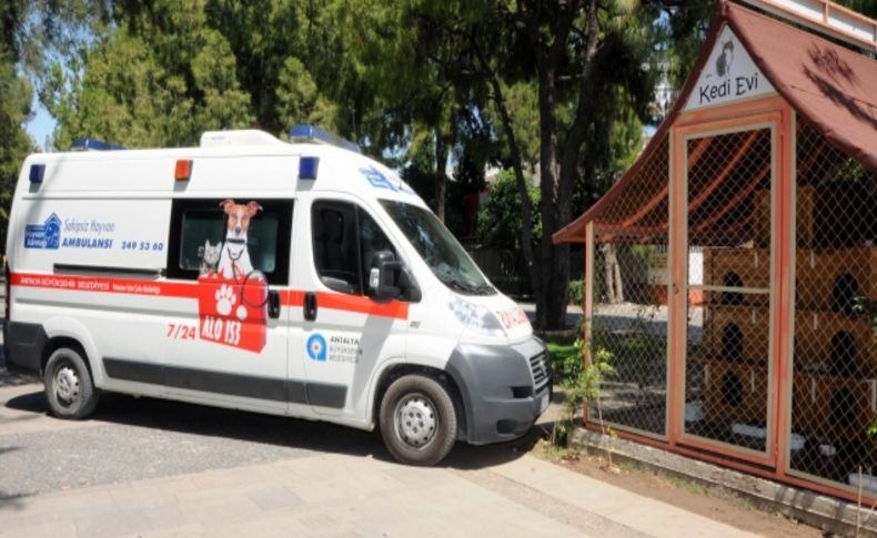 Antalya'da sahipsiz hayvanlar için ambulans hizmette