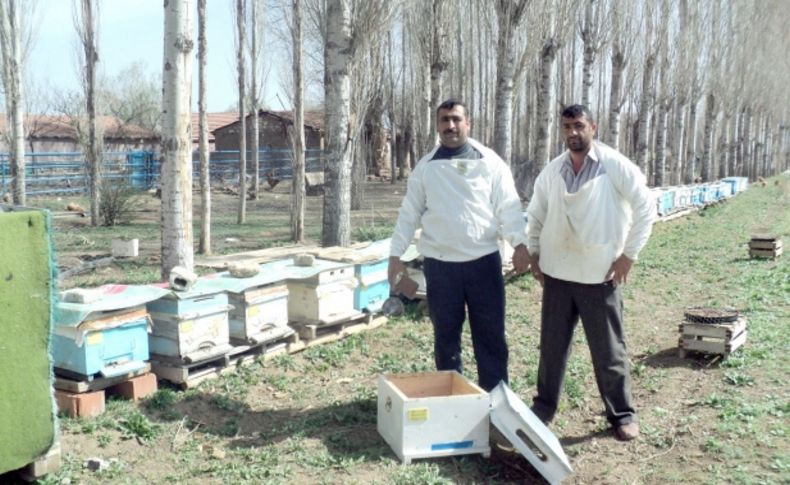 Arılara ilkbahar bakımı başladı