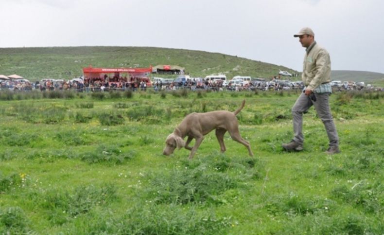 Avcılar köpekleriyle Menemen’de yarıştı