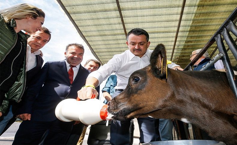 Bakan Pakdemirli: Fotoğrafları görünce çok korktum!