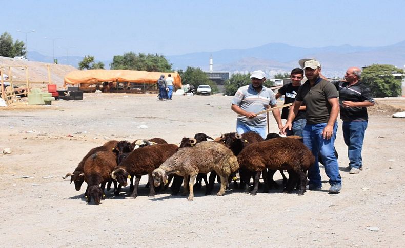 Bakan Pakdemirli'nin açıklaması besicileri memnun etmedi