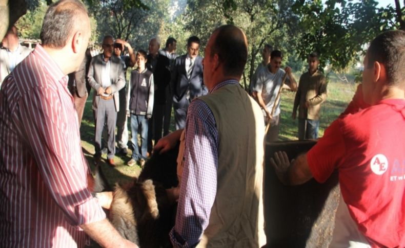 Bakan Çelik, dualarla kurbanını kesti