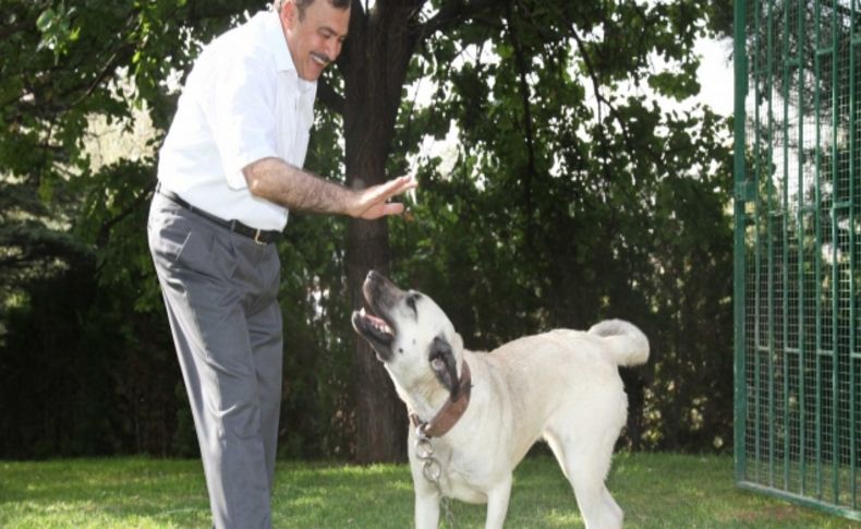 Bakan Eroğlu: Can dostlarımızı el birliği ile koruyalım