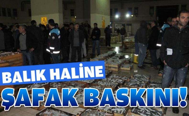 Balık haline şafak baskını