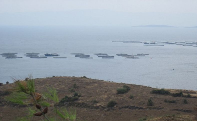 Karaburun halkı isyanda: 'Zorla' balık çiftliğine tepki seli